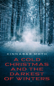 A_Cold_Christmas_eBook1-640x1024